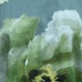 Color swatch - SAGE