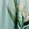 MINT/GREEN