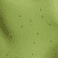LIGHT OLIVE