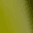 Color swatch - OLIVE