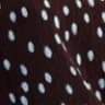 Color swatch - BROWN