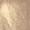 Color swatch - CHAMPAGNE