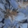 Color swatch - BLUE