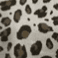 Color swatch - BEIGE